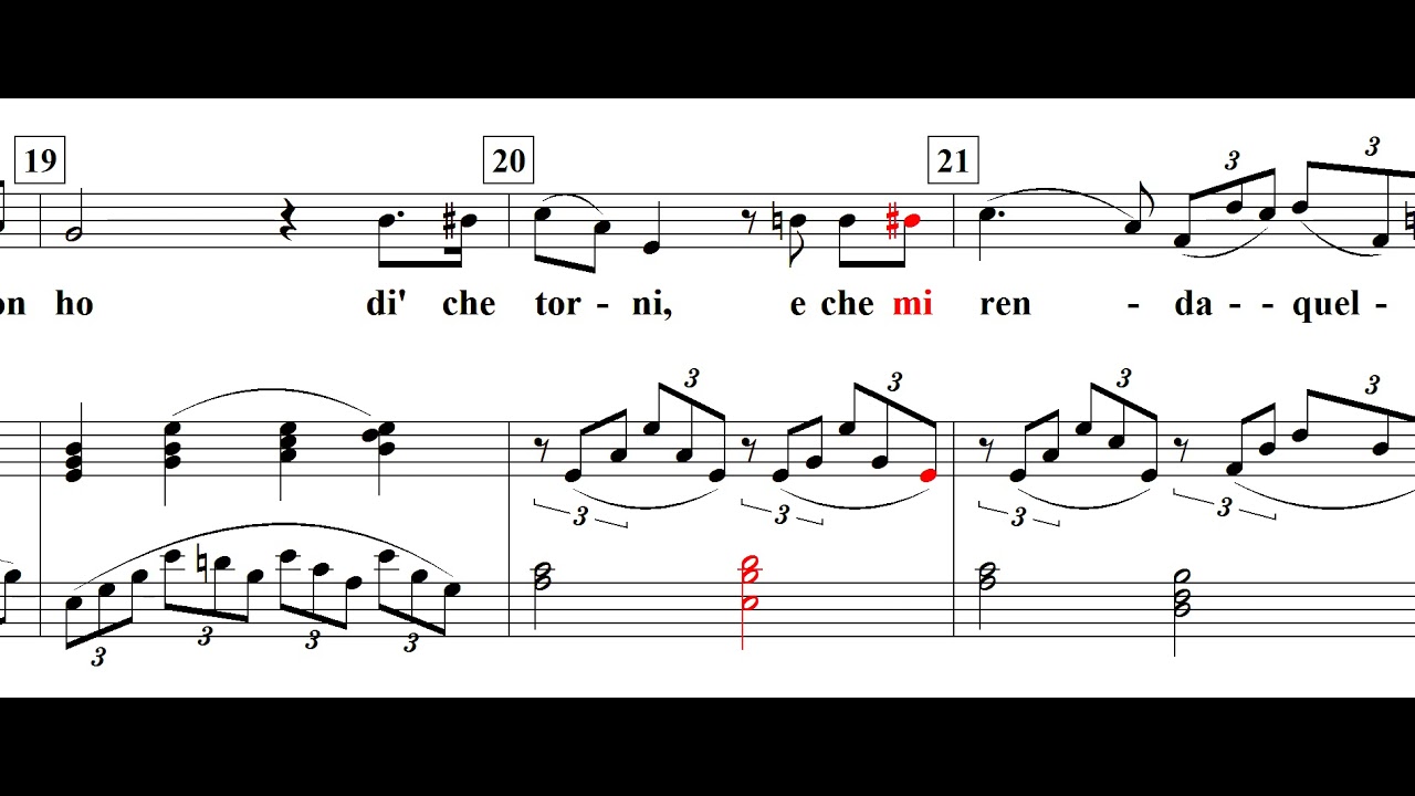 Ombre amene amiche piante(포근한 그림자) / Mauro Giuliani / Piano