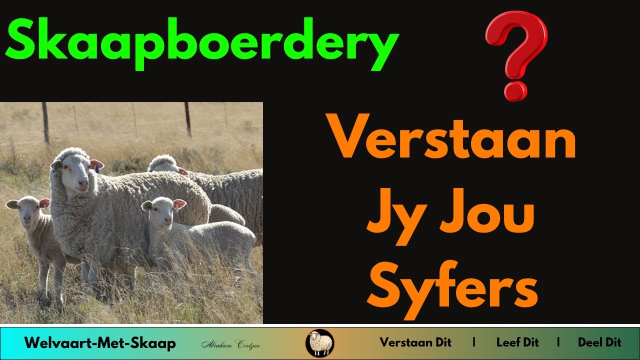 WMS - Hoe om sin te maak van jou skaapboerdery se inkomste en uitgawes.