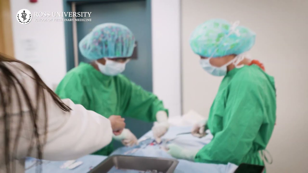 Passionate Veterinary Students | Ross University School of Veterinary Medicine