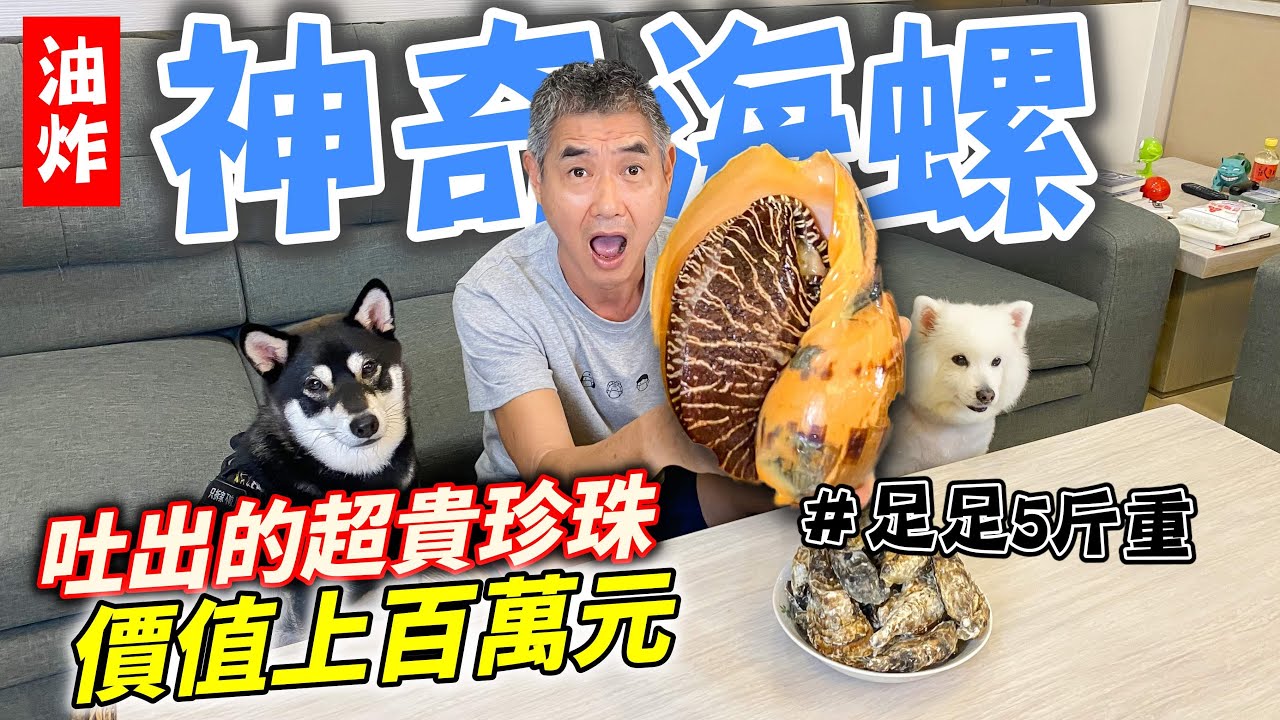 油炸“神奇海螺”！足足五斤重，吃一隻就飽了！吐出的超貴珍珠，價值上百萬元！『油炸系列ep18』Deep-fried 