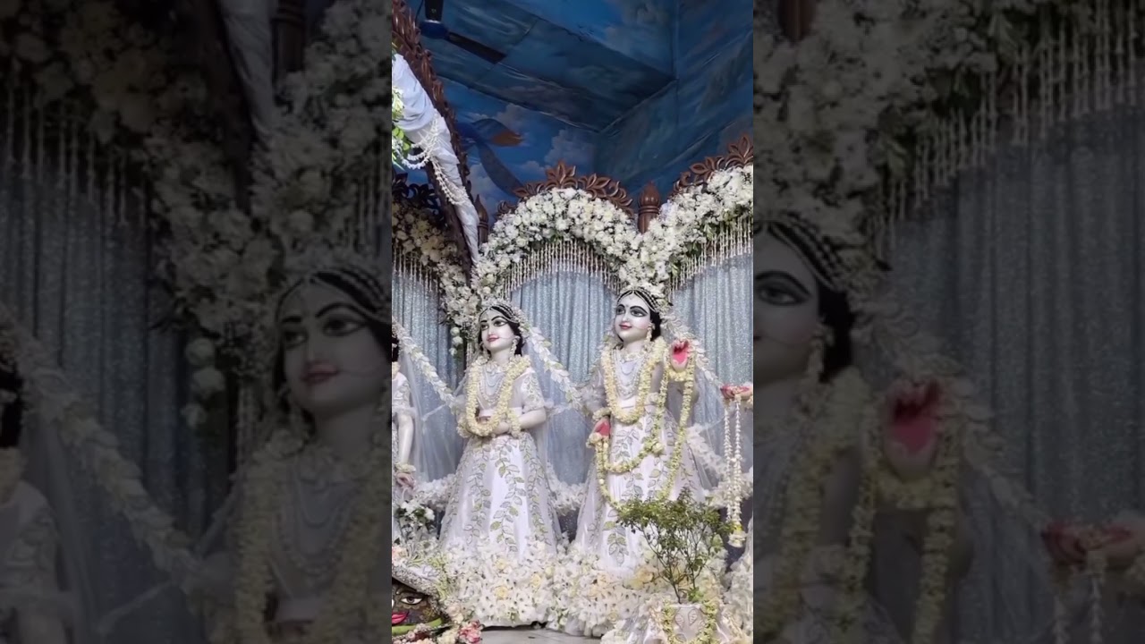 Mayapur srinagar Darshan, special flower srinagar 🙏