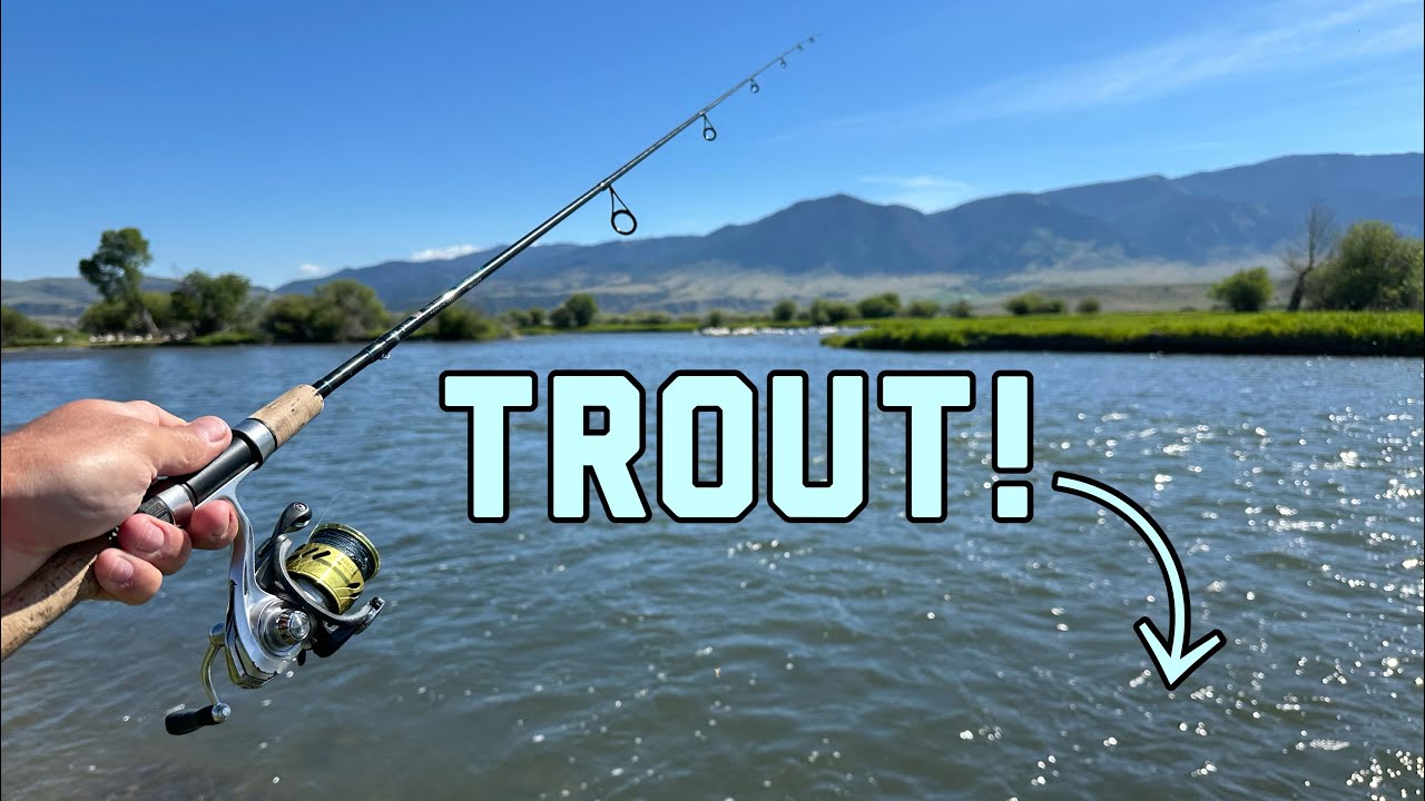 Fishing w/ Spinners on the Madison River!