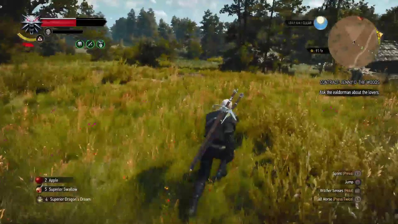 THE WITCHER 3 WILD HUNT |PS5| NG+ DEATH MARCH #9