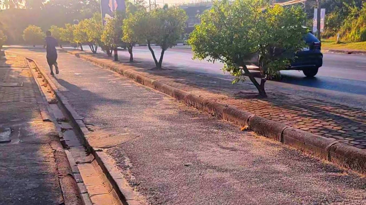 Quiet Walk in Yala park, Thailand · Daily Quiet · a quiet walk beside you in the morning