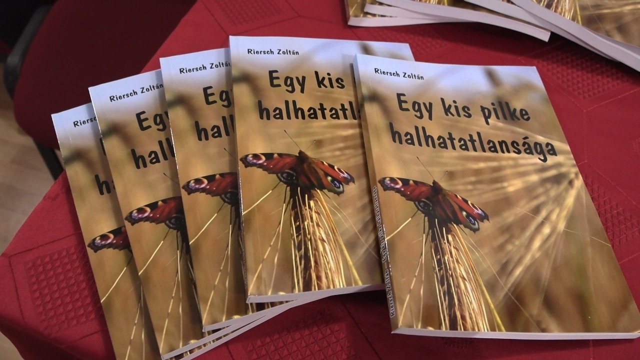 Egy kis pilke halhatatlansága