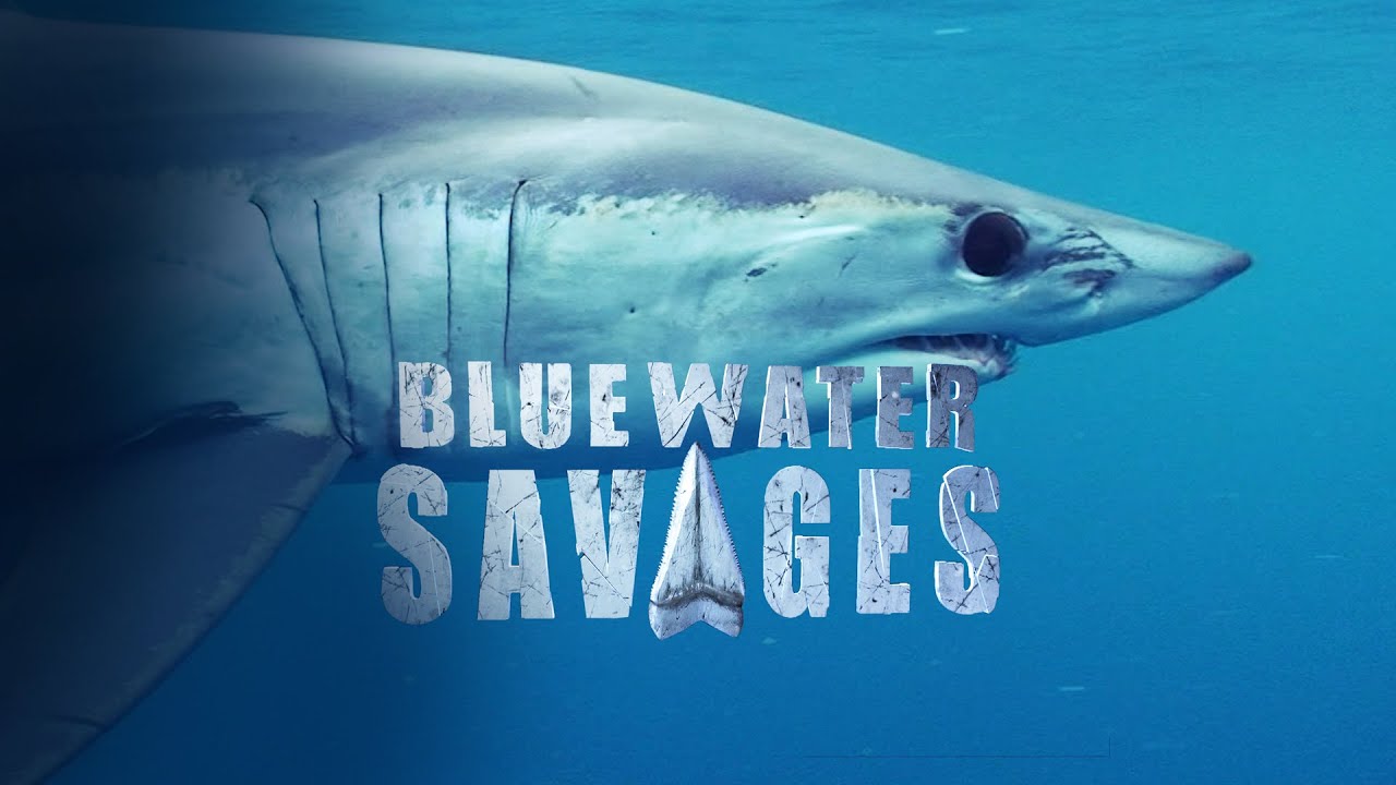 Blue Water Savages: Monster Mako