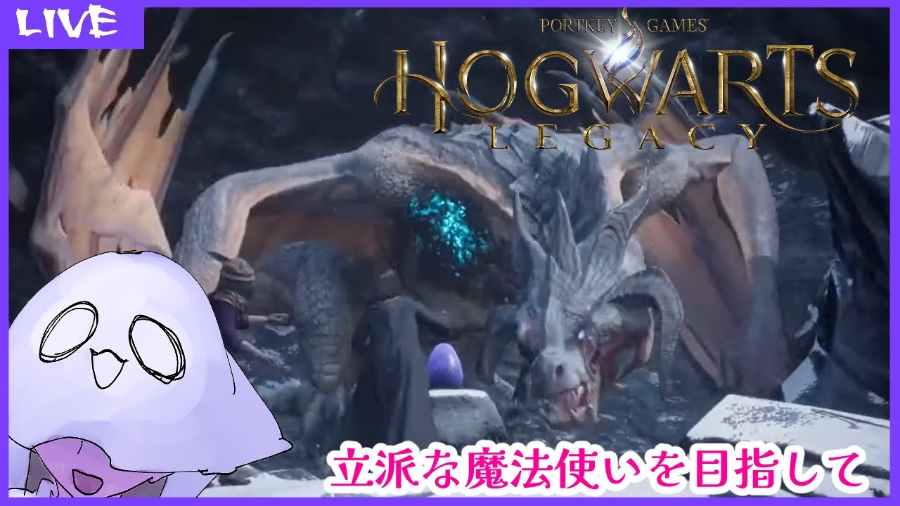 【 ホグワーツ・レガシー 】立派な魔法使いを目指して　9回目