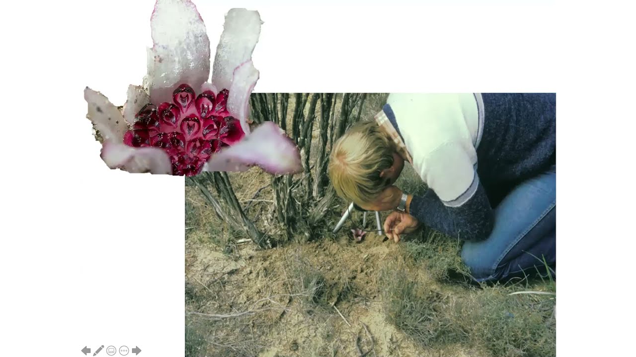 Ancient Landscapes, Ancient Species and the Future of the Southwest Australian Biodiversity Hotspot