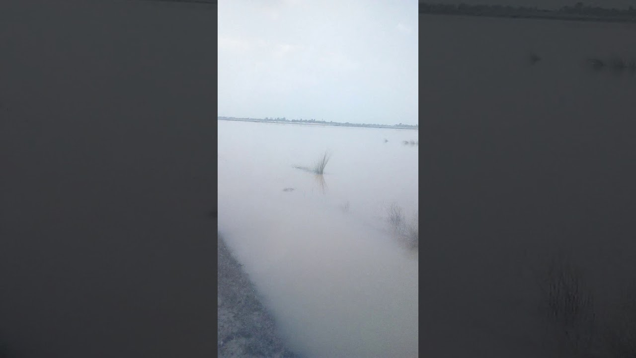 Sutlej river kangan pur khanay ka party ka