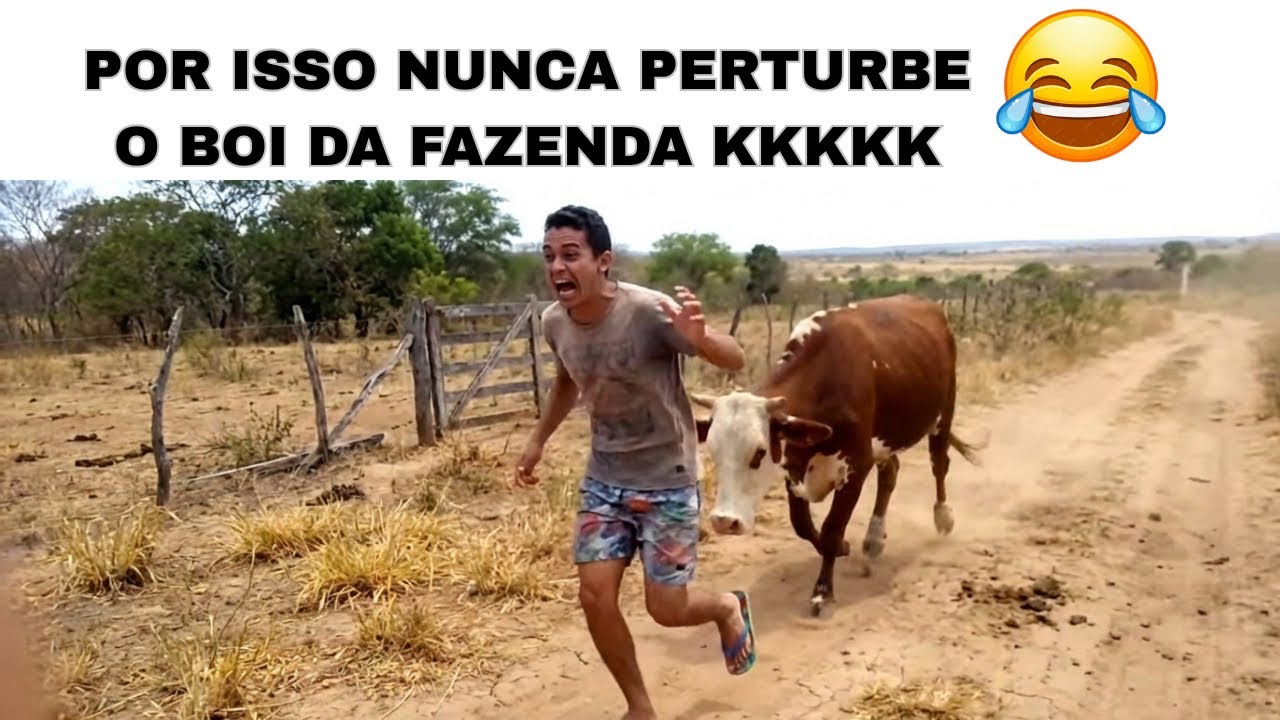 SE DEU MAL DEMAIS!! 😂🤣 (TENTE NÃO RIR) memes mais engraçados do Brasil 🇧🇷 