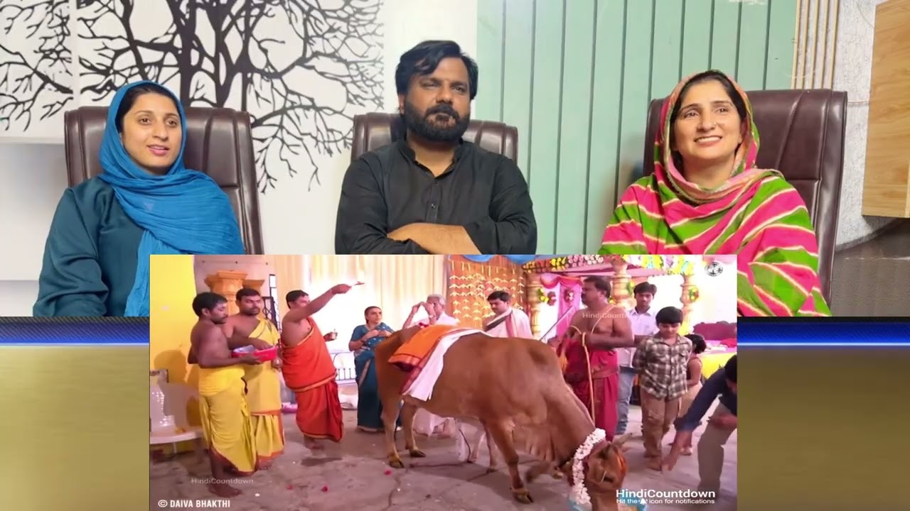 The Things Only Can See in India Part 2 - Pakistani Reaction
