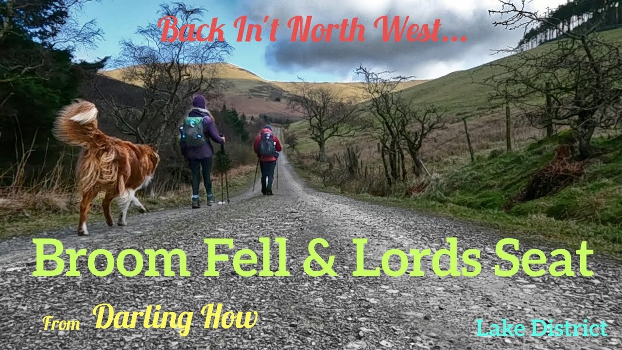 Broom Fell & Lord's Seat from Darling How The Lake District.