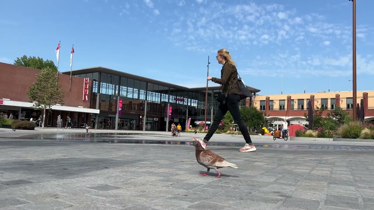 Assen, NL: Ep.1.2 Centrum (Market)