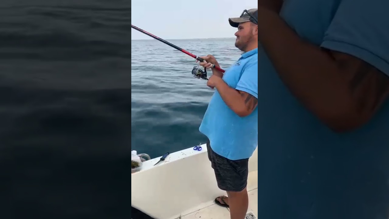 PARGO DORADO   🏆🎣💪🇵🇹           pesca chumbadinha  Algarve