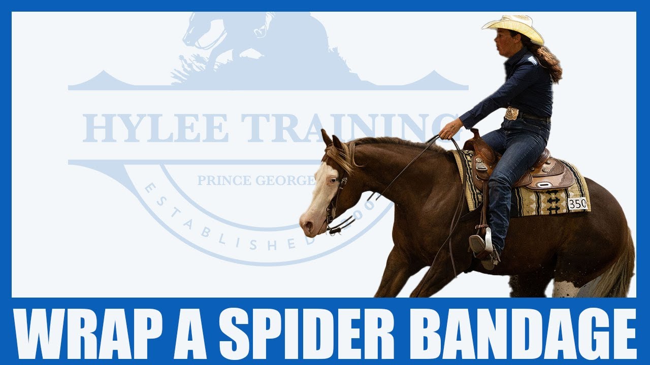 How to Wrap a Spider Bandage on a  Horse