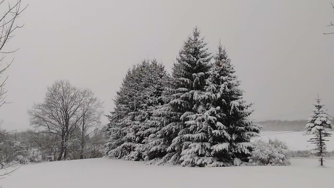Calm before the Winter Storm