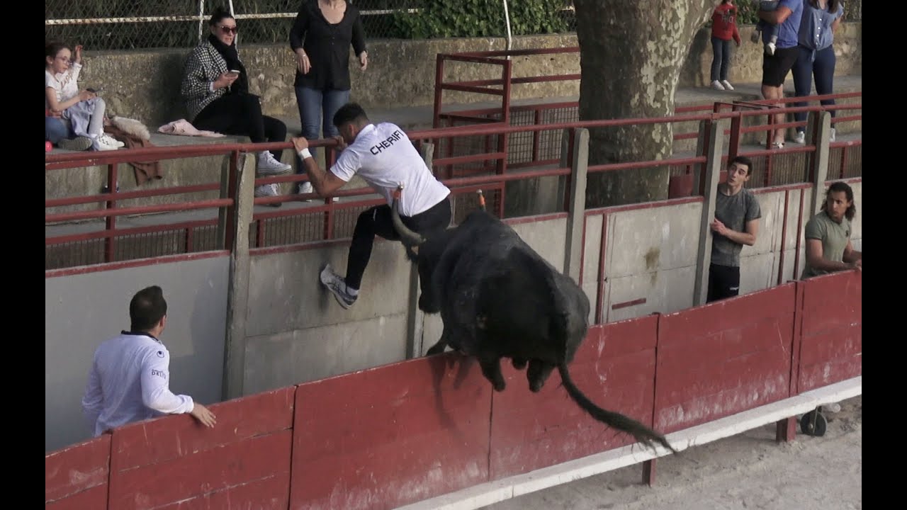 ST ÉTIENNE DU GRÈS - COURSE D’ENTRAÎNEMENT (13.04.2022)