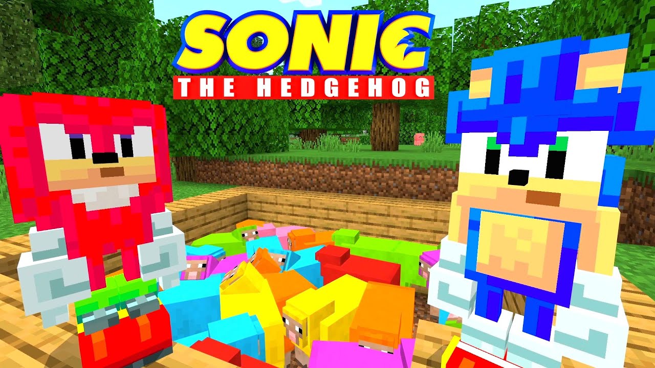 Sonic's RAINBOW Sheep Zoo! [41] | Sonic And Friends | Minecraft