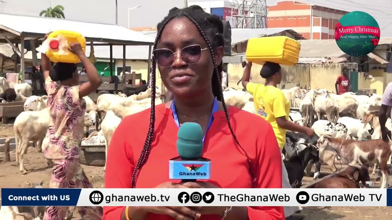 Christmas Festivities: Avenor traders, buyers speak on livestock sales
