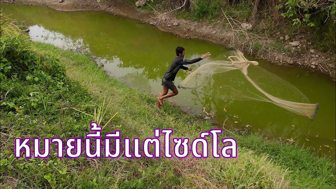 หว่านแหปลาผุดคลองดิน หากินใกล้บ้าน