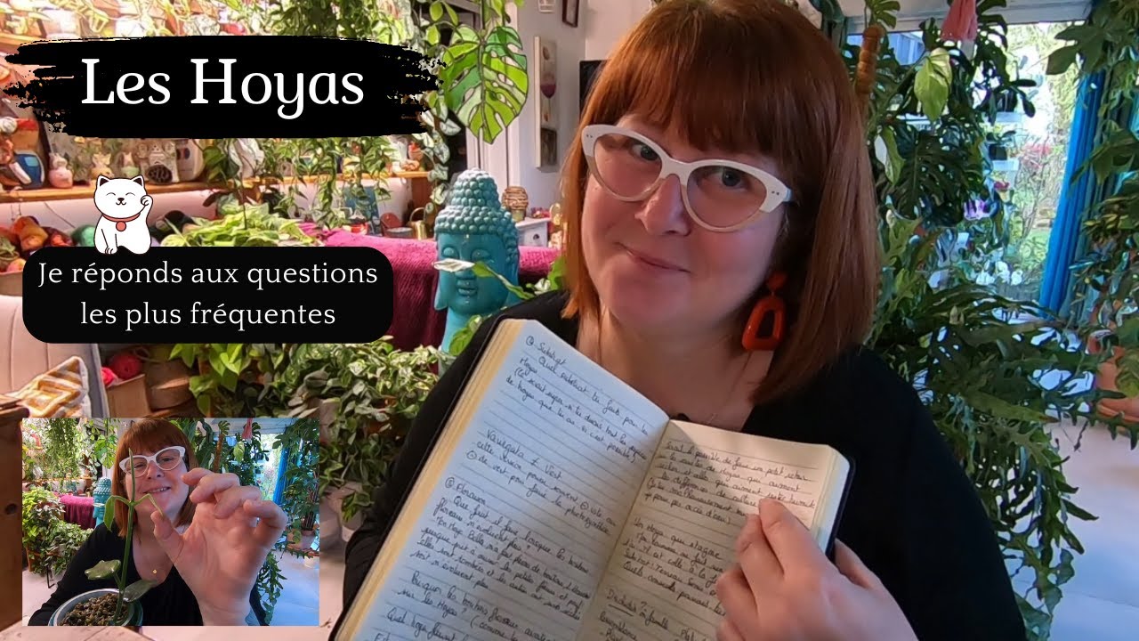 LES HOYAS🌿 Les QUESTIONS qui reviennent le plus souvent | SUBSTRAT | ARROSAGE | FLORAISON | Engrais