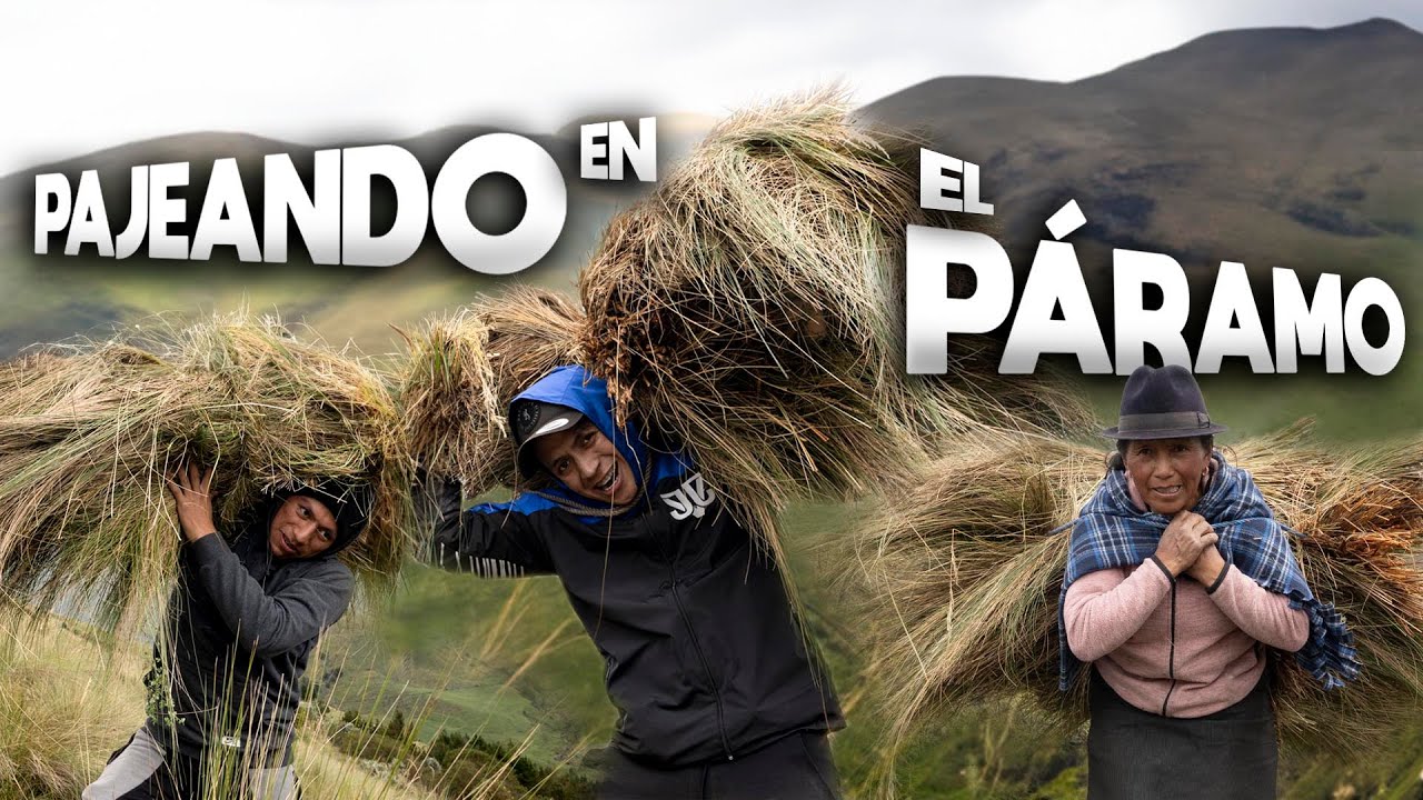 PAJEANDO EN EL PÁRAMO | John Valverde