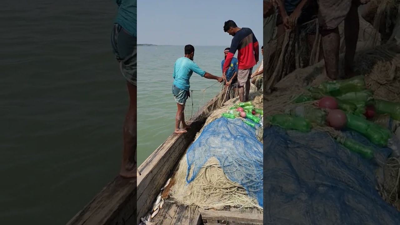 এইটাই তাহলে পোমার জাল #viralvideo 