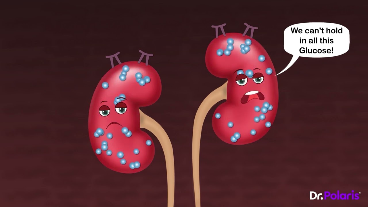 Pharmacology - Oral Hypoglycemic Drugs (Animated) | MBBS 2nd Year