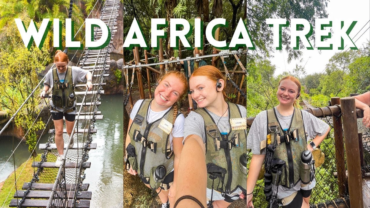 WILD AFRICA TREK AT DISNEY'S ANIMAL KINGDOM | 3 Hour Private Tour, Lunch over the Savannah & More!🦁🌳