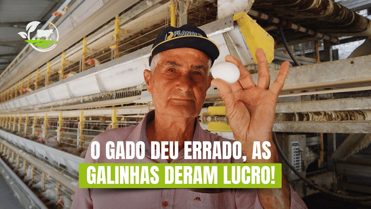 AGROVIVENDO - EP. 20 | O Segredo do Produtor que Domina a Avicultura de Postura