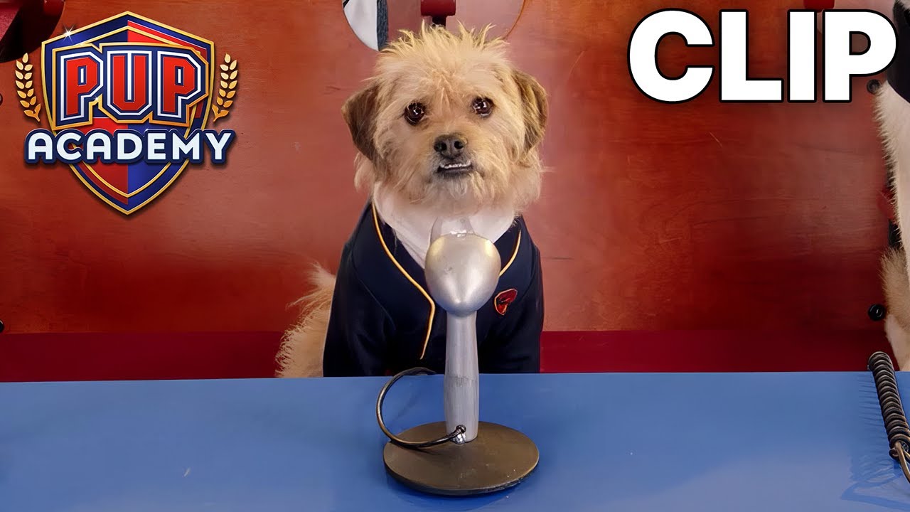 The Talent Show | Pup Academy Clip