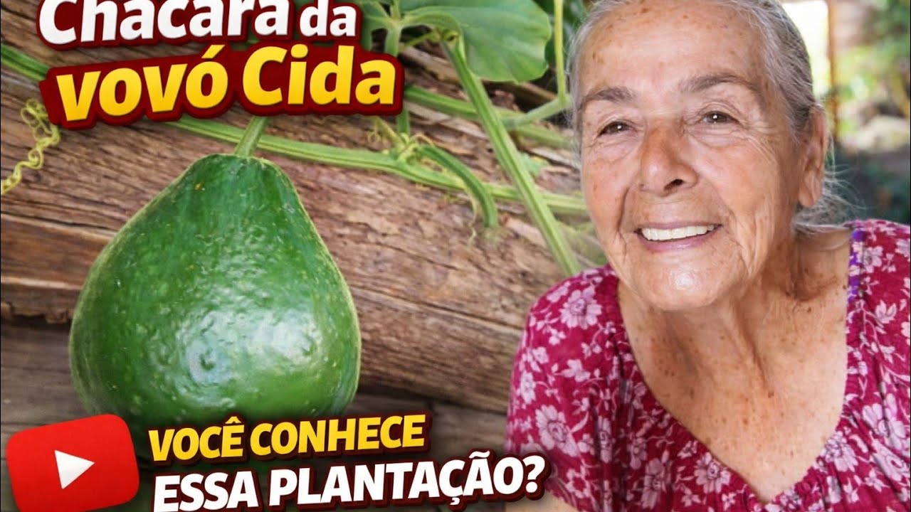 Você não vai acreditar no que plantei nessa chácara 🌿🍂