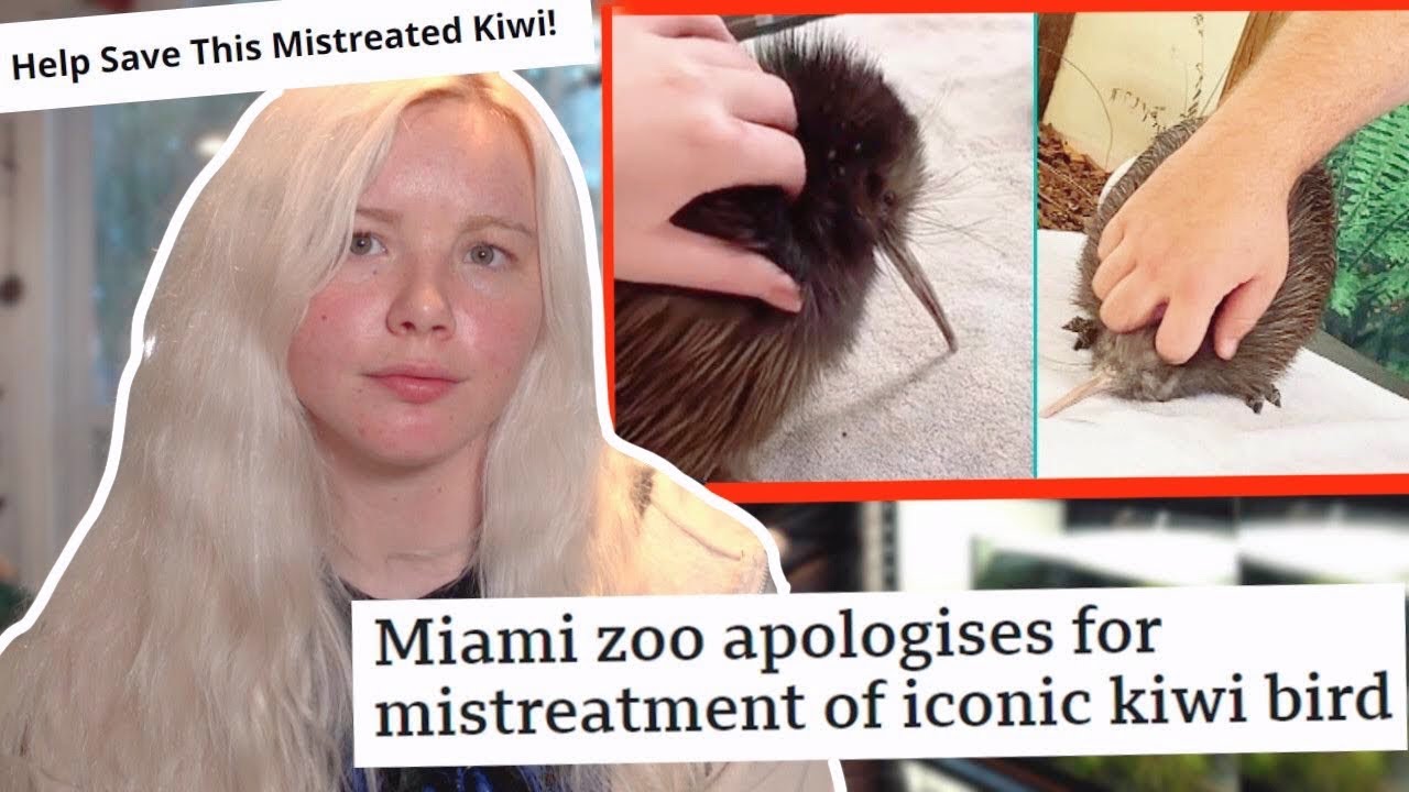 Kiwi Bird Being MISTREATED In Florida Zoo