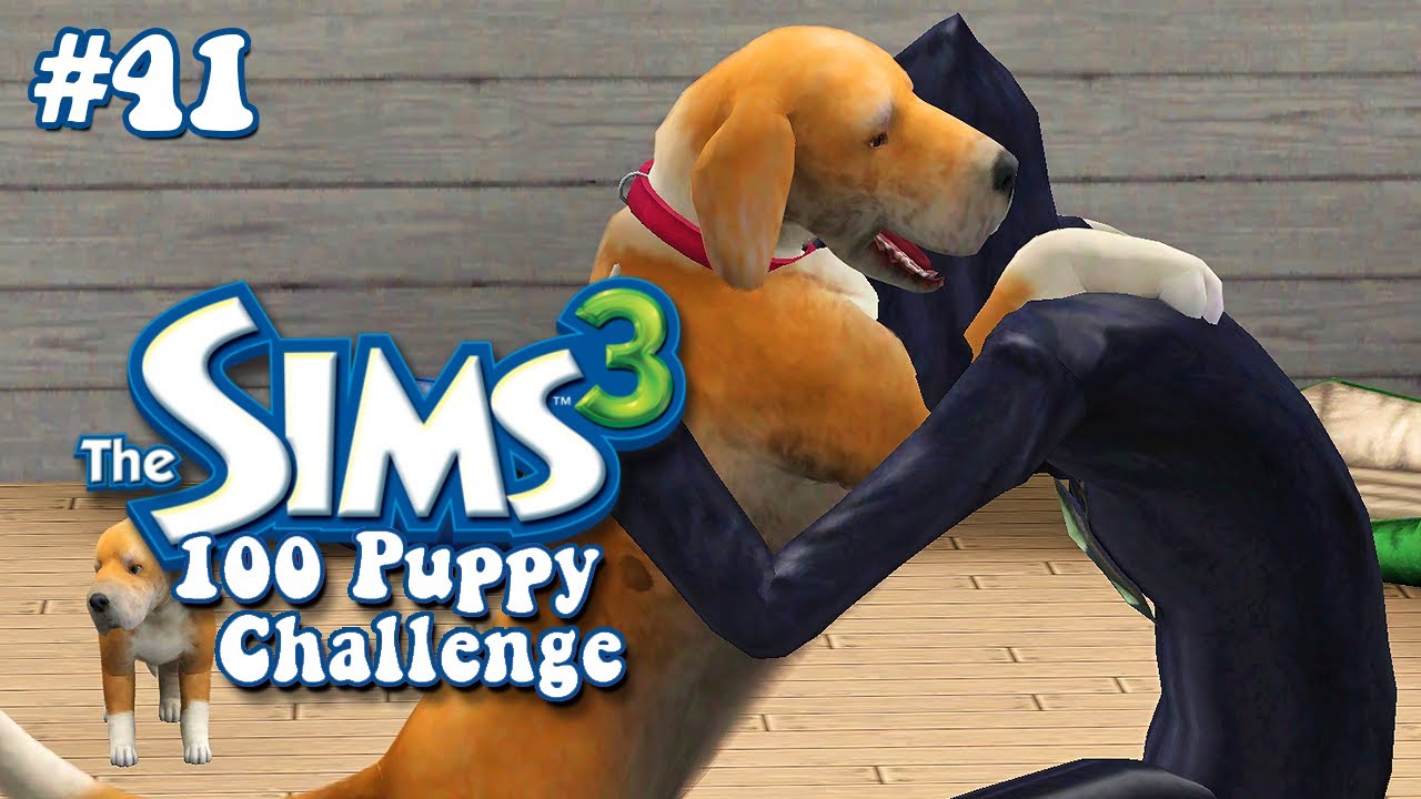 Finale | The Sims 3: 100 Puppy Challenge #41