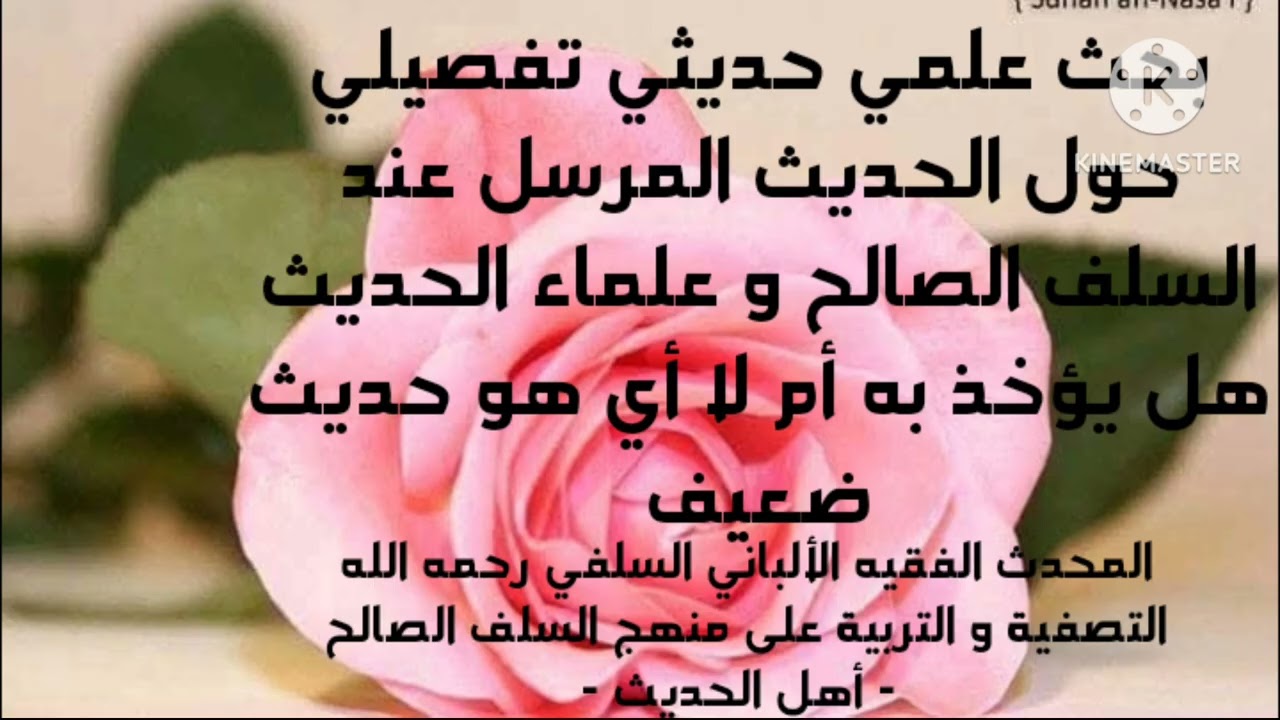 الإمام الألباني السلفي رحمه الله/ بحث علمي حديثي مفصل حول الحديث المرسل عند السلف الصالح وأهل الحديث