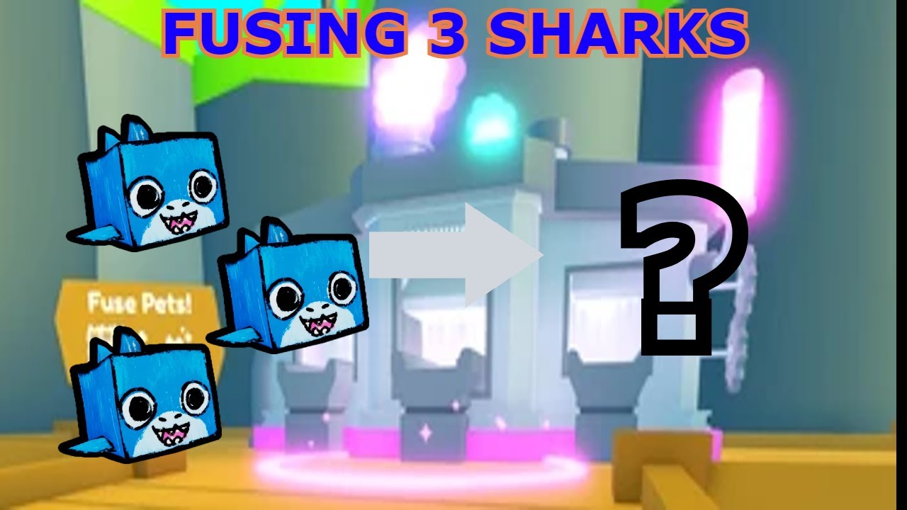What happens when you fuse 3 Normal Doodle Sharks Pet Simulator X