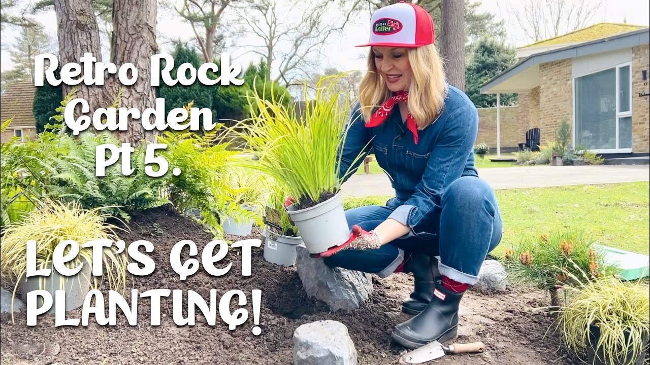 Retro Rock Garden Project Part 5 - Let's Get Planting!