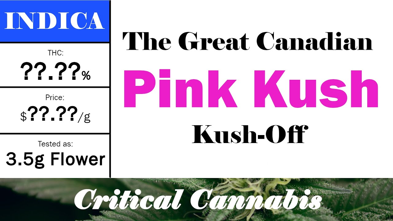 The GREAT Canadian PINK KUSH Kush-Off | Every OCS Pink Kush Compared