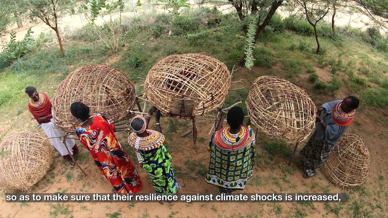 Improving the livelihoods of communities in arid and semi-arid lands