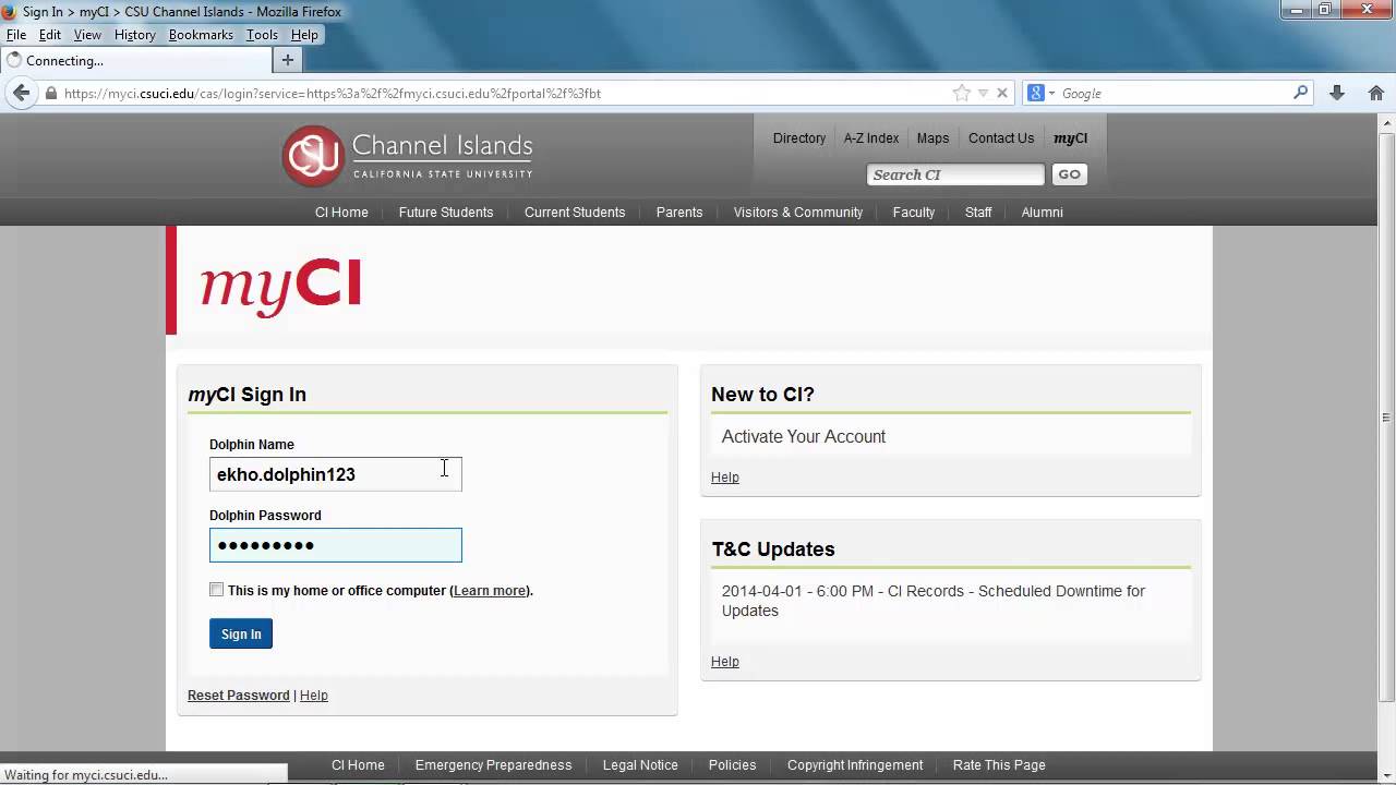 How To Access CI Records