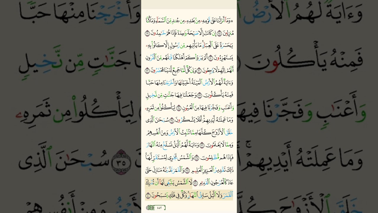 حين يهدأ القلب… استمع إلى سورة يس | تلاوة خاشعة بصوت مشاري راشد العفاسي 🤍