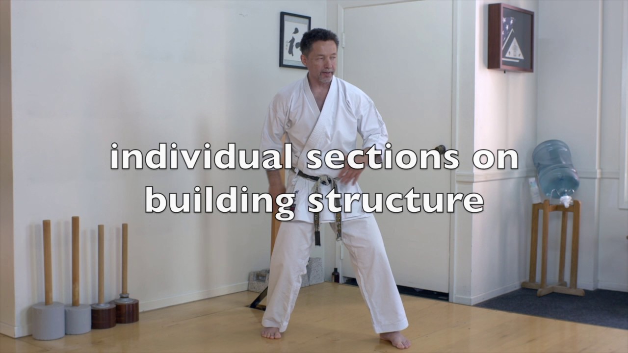 Makiwara Training System