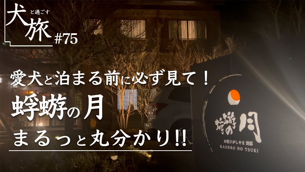 【蜉蝣の月｜那須高原】愛犬と泊まれる限定2室の隠れ家お宿を大解剖！これを見れば丸わかり！