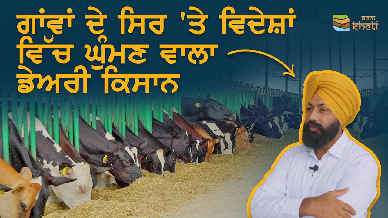 5 ਗਾਂਵਾਂ ਤੋਂ ਸ਼ੁਰੂ ਕਰਕੇ 130 ਗਾਂਵਾਂ ਦਾ ਡੇਅਰੀ ਫਾਰਮ ਬਣਾਉਣ ਵਾਲਾ ਕਿਸਾਨ | 130 HF cow dairy farm in punjab.