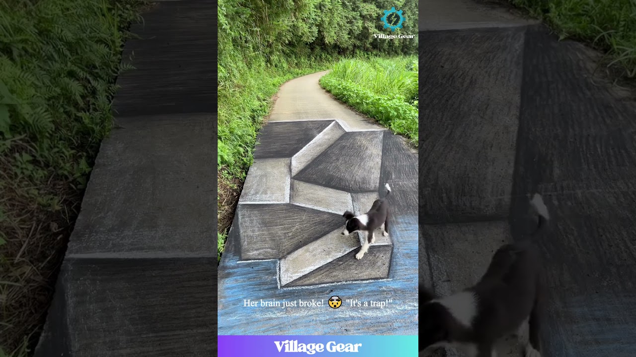 That 3D Floor Art is Causing So Much CHAOS! 😂 Even the Dog Knows Not to Mess with It! #3dart #funny