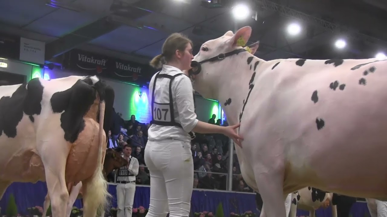 2025 12 08 CATTLE de Schau der Besten 2024 11