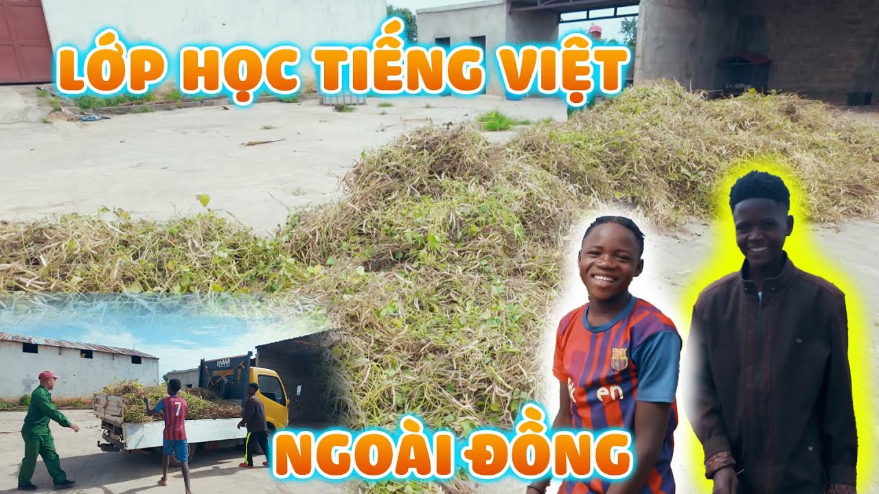 Quanglinhvlogs || Lớp Học Tiếng Việt Ngoài Đồng Của Anh Em Công Nhân Quang Linh Farm.