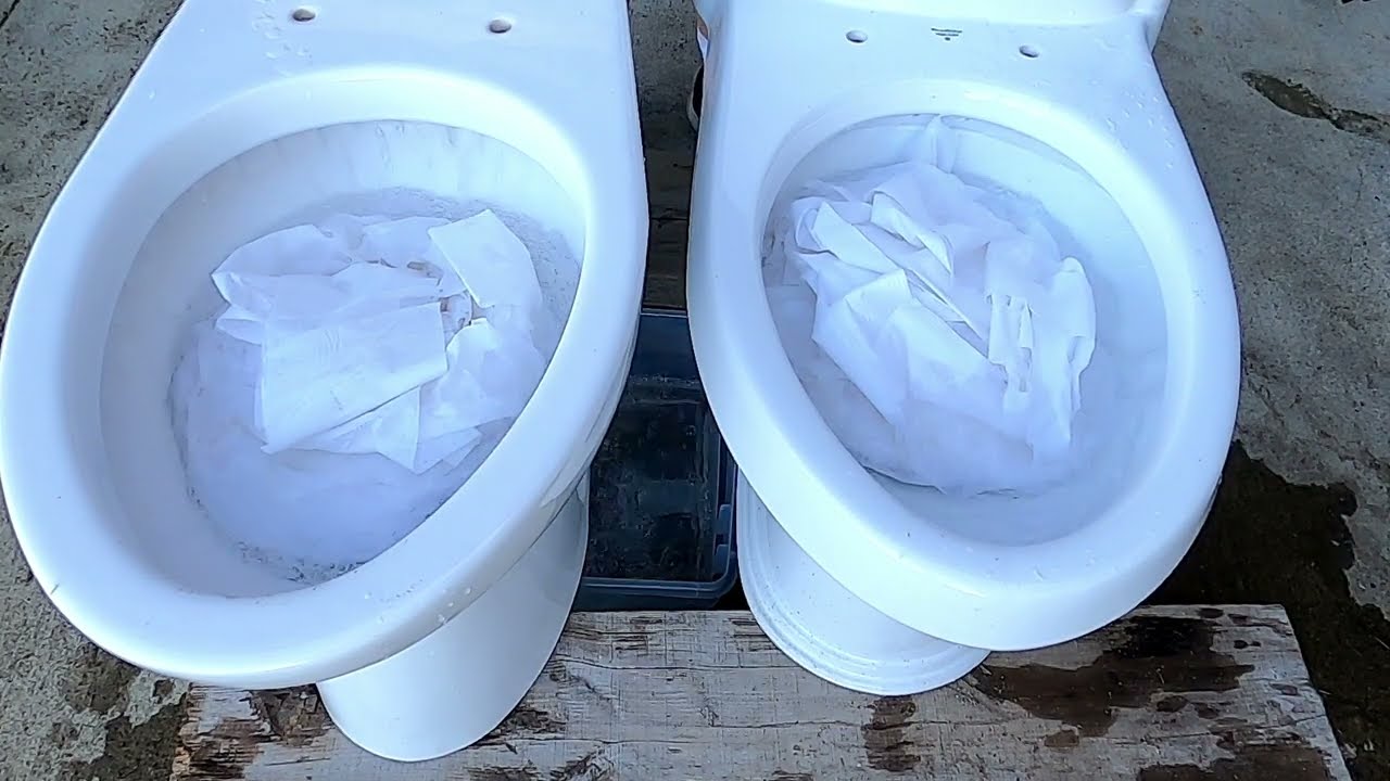 Who Will Win? 2 Rolls of Toilet Paper, 2 Toilets, and a whole lot of flushes