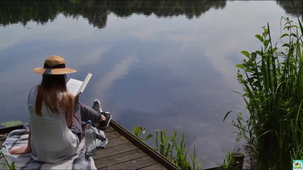 musica para leer concentrarse y comprender musica relajante piano estudiar y trabajar