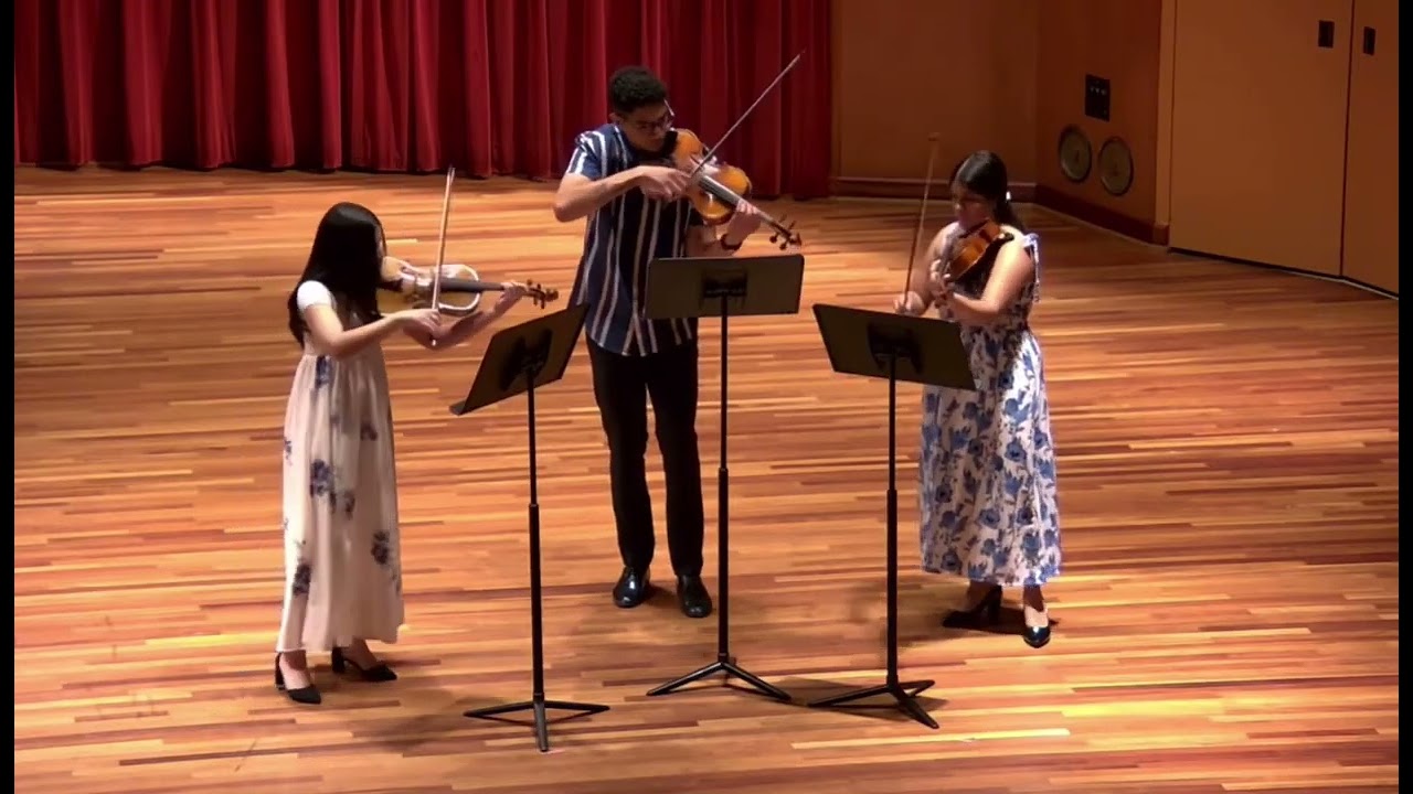Diego Montes - Trio per Viola (2024)